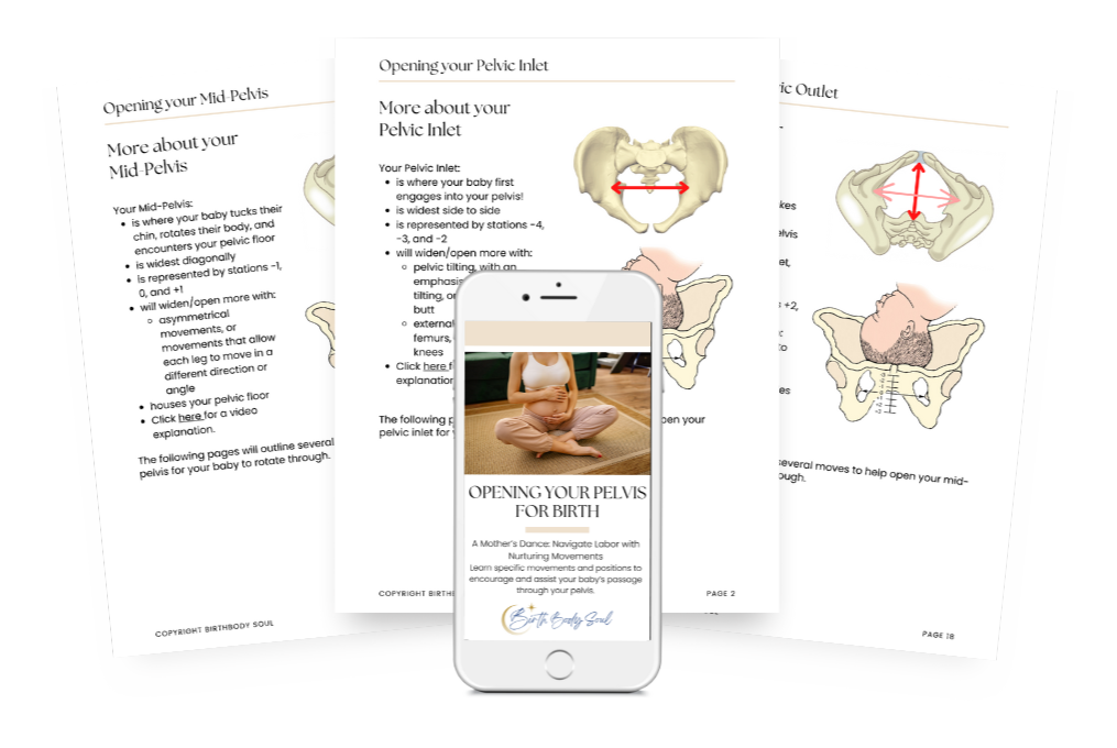 downloadable e-book about different levels of pregnant moms pelvis with baby's station