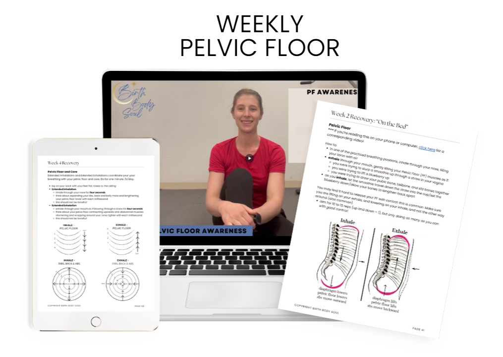 helping moms heal and strengthen their pelvic floor after having a baby to prevent or reverse pelvic floor dysfunction
