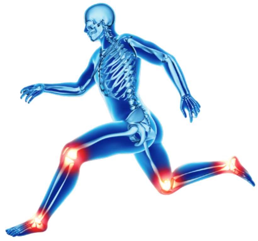 joint mobility during pregnancy and postpartum